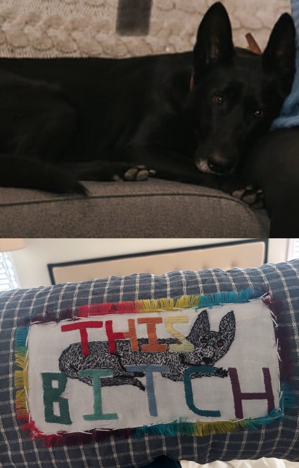 Custom Embroidered Pillow With Dog - Needlepoint Custom Pet Portrait of a black German shepherd with the words “this b*+ch” and a Comparison Photo of the pet dog on top
